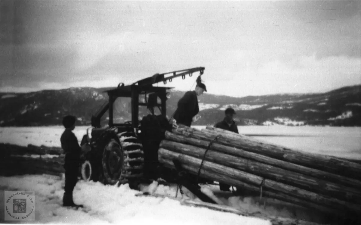 Tømmerkjøring Nissedal av firmaet Terrengransport.