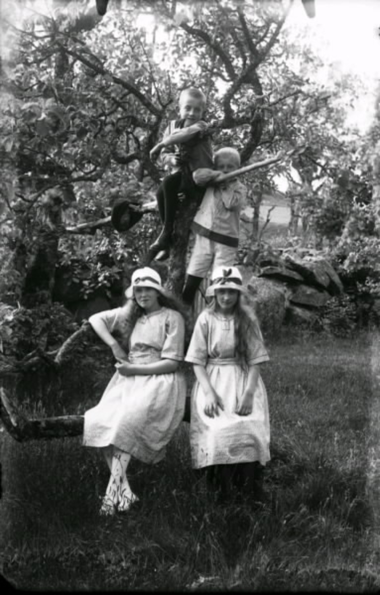 Greta till höger, Siri till vänster, Gustaf Adolf högst upp och Ture. Barngrupp fotograferade utomhus vid ett träd.För information om gården samt ytterligare bilder - se VMA4148.