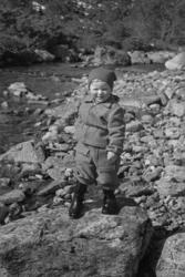 På stølen på Nord-Heggdal.