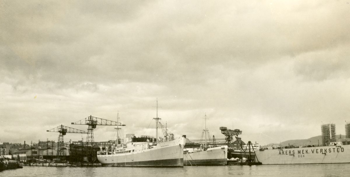 M/S Bañaderos (b.1930, Akers mek. Verksted, Oslo).
Skipet til høyre er D/S Solferino.