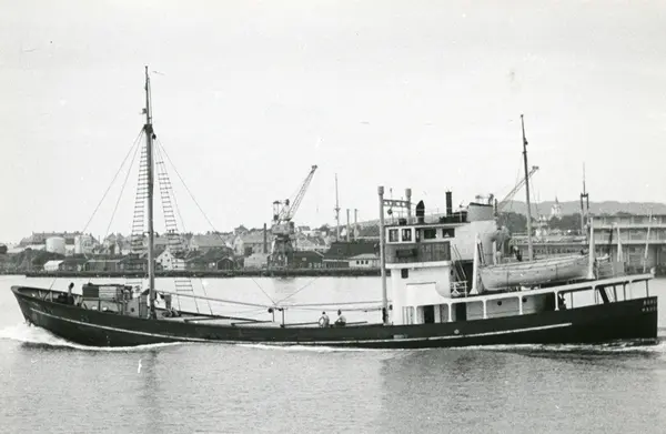 M/S Borgundøy (Ex. Hvalfanger-D/S Star II, Polarsonne)(b.1941, A/S ...