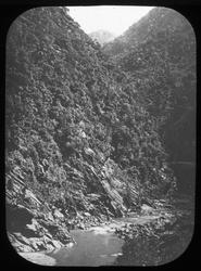 Dias. Afrika, Chiffas dal ved Blidak