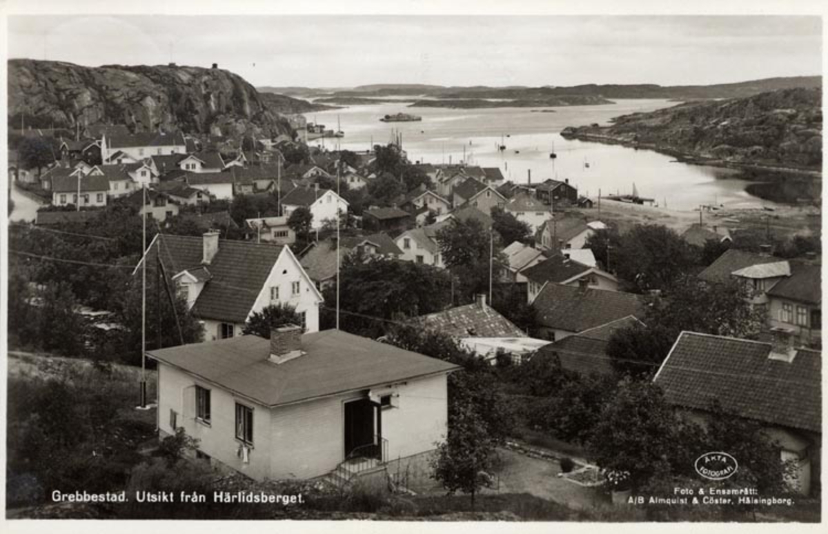 Tryckt på kortet: "Grebbestad. Utsikt från Härlidsberget."
