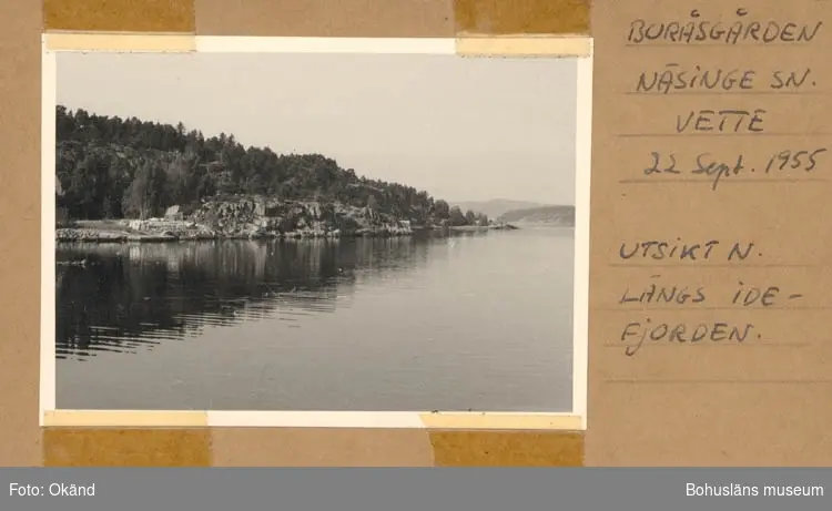 Noterat på kortet: "Boråsgården. Näsinge Sn. Vette 22 Sept. 1955."
"Utsikt n. längs Idefjorden."
