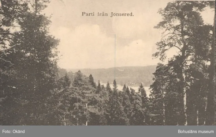 Tryckt text på kortet: "Parti från Jonsered."