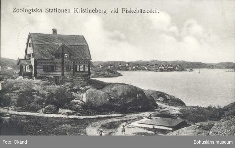 Carl Wilhelmsons villa, Fiskebäckskil