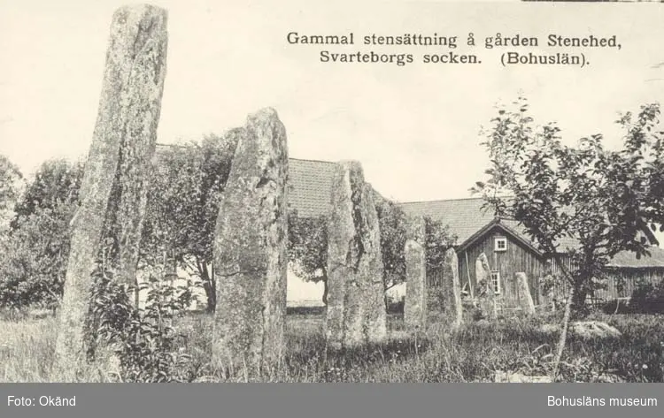 Tryckt text på kortet: "Gammal stensättning å gården Stenehed. Svarteborg socken. (Bohuslän)"
"Förlag: Axel Arvidsson, Hällevadsholm."