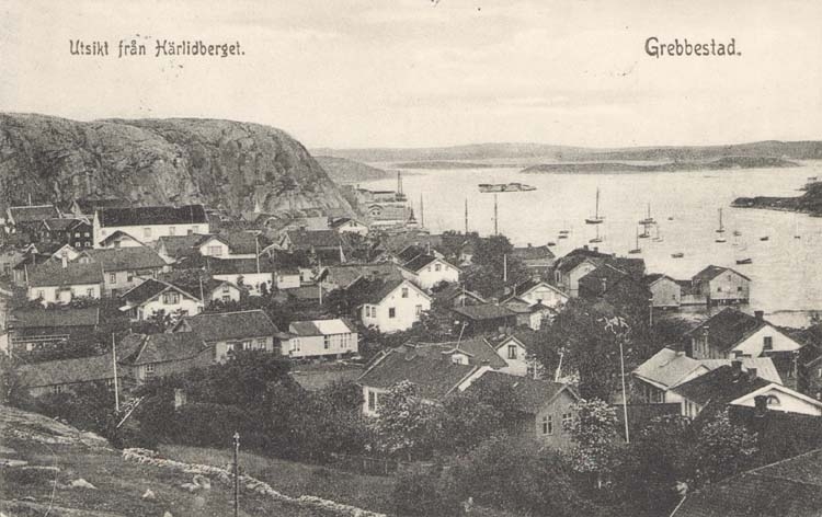 Tryckt text på kortet: "Grebbestad. Utsikt från Härlidberget."