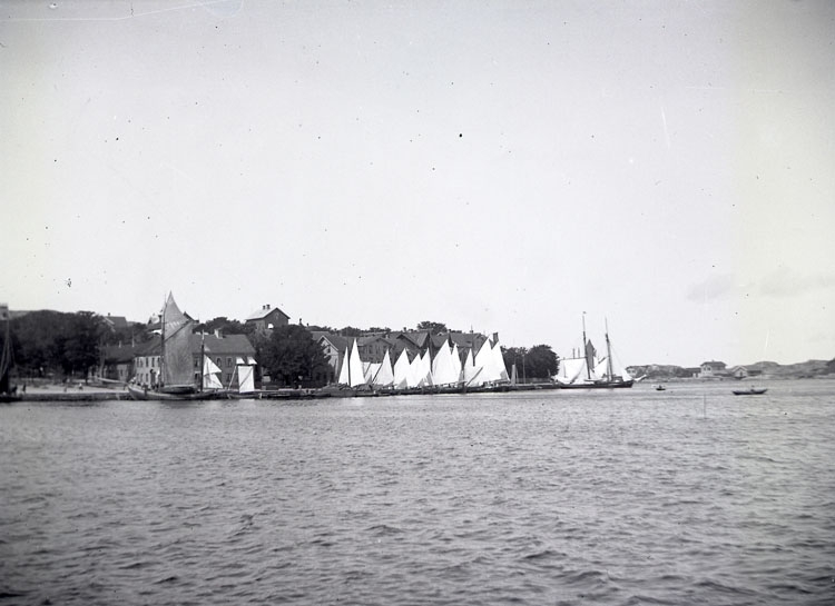 Enligt text som medföljde bilden: "Marstrand. Hamnen."