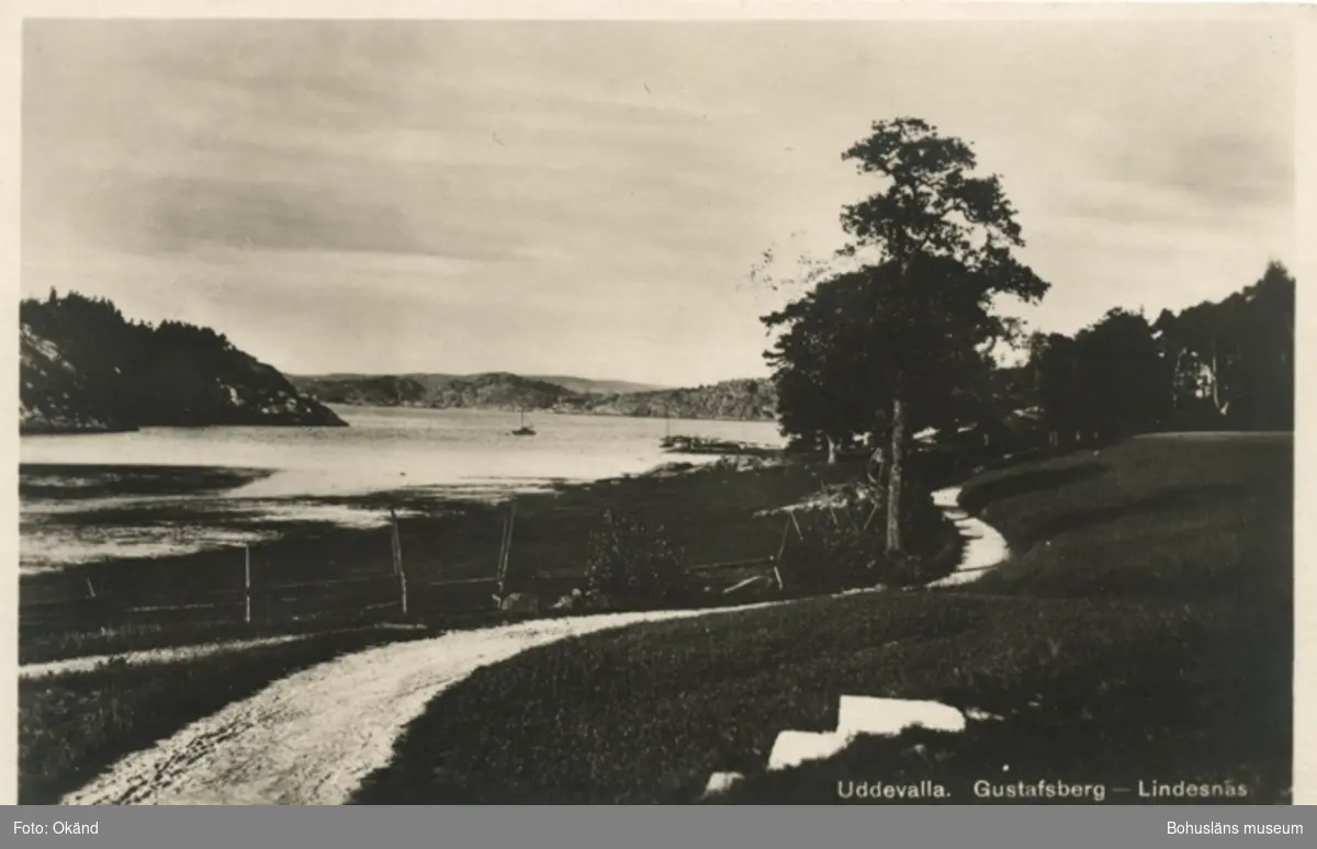 Tryckt text på vykortets framsida: "Uddevalla. Bodelid - Lindesnäs."