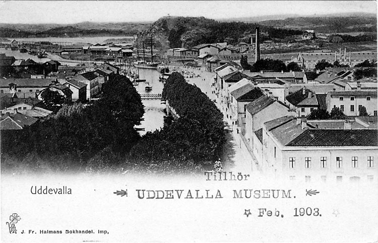 Tryckt text på vykortets framsida: "Uddevalla."