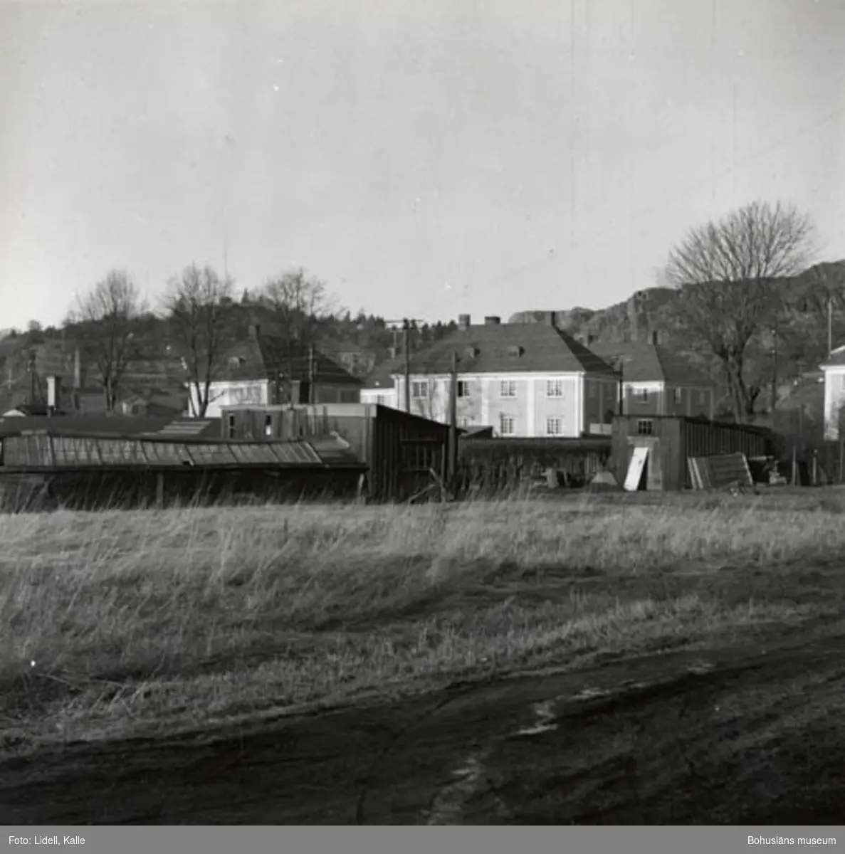 Enligt fotografens bildlista: "Strands växthus med husen i kvarteret Örnen.