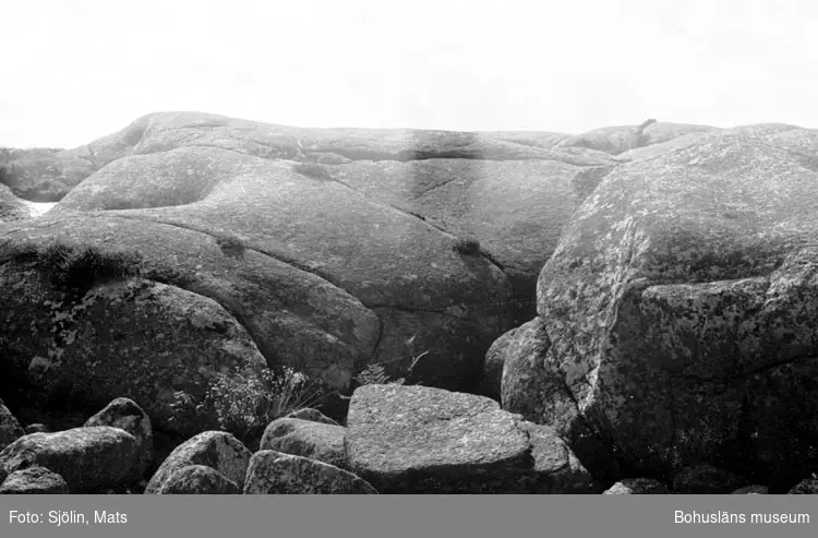Bohusläns samhälls- och näringsliv. 2. STENINDUSTRIN.
Film: 39

Text som medföljde bilden: "Icke bearbetad granit." Juli 1977."