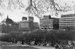 Oslo. Stortingsgaten sett fra Slottsparken.