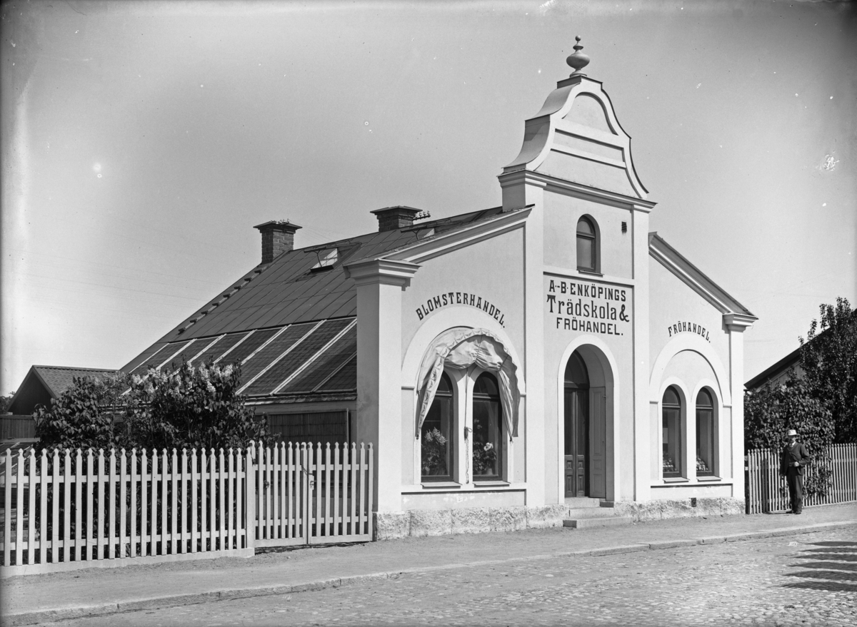 Man vid "A.-B. Enköpings Trädskola & Fröhandel", Kyrkogatan 36, Enköping, vy från söder, tidigast 1904.