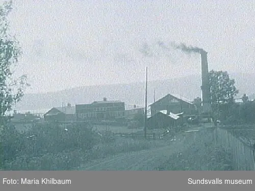 Alviks Träförädlings Aktiebolag bildades 1927. 1938 kompletterades sågverket med en plywoodfabrik där kryssfanér tillverkades. Verksamheten upphörde 1950.