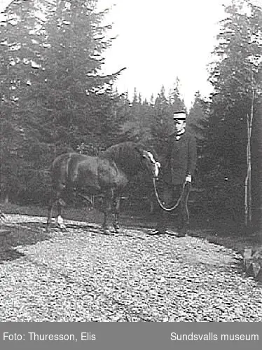 Elis Thuresson med sin ponny, Thurebo, Petersvik.