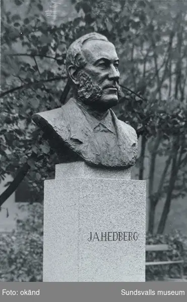 Byst över grosshandlare Johan August Hedberg född 1828 i Hallarp, Älvsborgs län och död 1906 i Sundsvall.