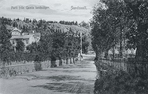 Ett avsnitt av Baldersvägen. Bildtext till vykortet "Parti från gamla landsvägen. Sundsvall."