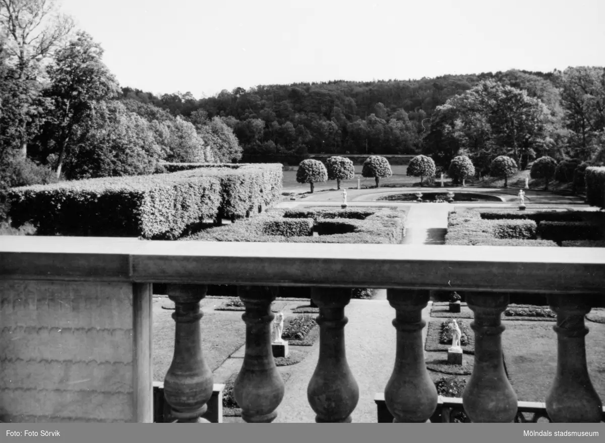 Utsikt mot Gunnebo slottspark, fotograferat från terrassen 1956.