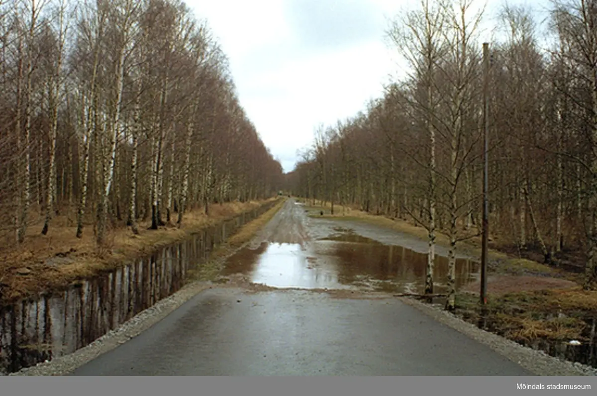 Parkeringen i Björkallén nedanför Gunnebo slott, 1995-02-17.