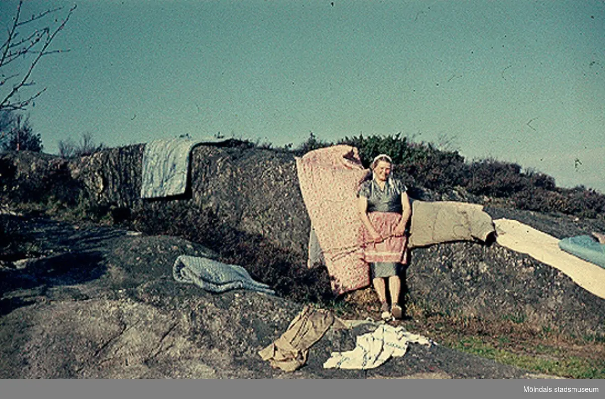 Greta Gustafsson skakar mattor vid sommarstugan på Valebergsvägen i Näset, 1957.
