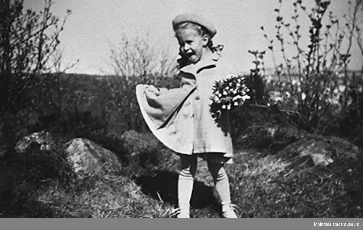 En flicka från Krokslätts daghem har plockat vitsippor, troligtvis på Safjället, 1948 - 1951.