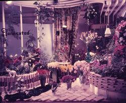 Kinoreklame fra 1950-1960-årene. Butikkvindu med utstilling,