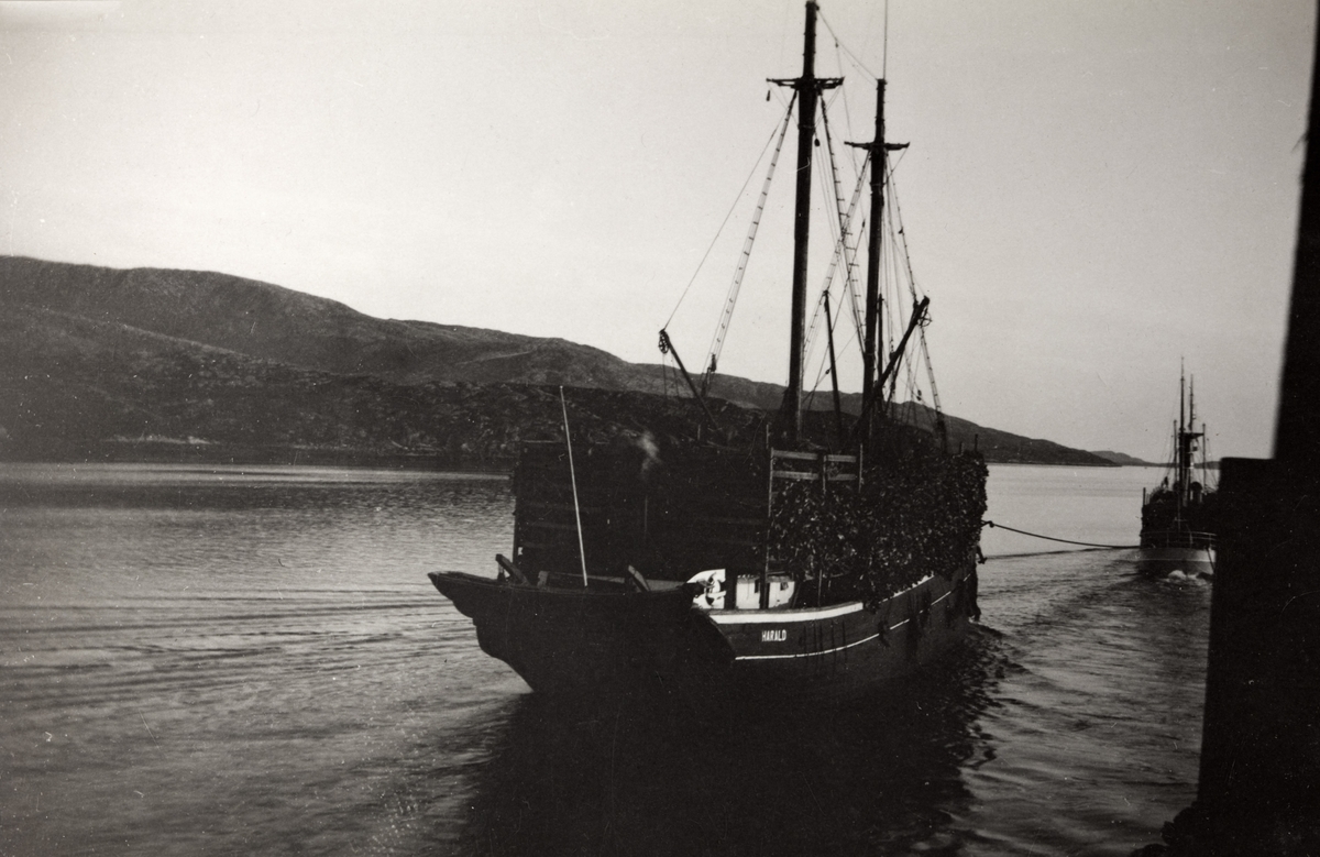 Frakteskuten "Harald" taues av et annet fartøy, fotografert rundt 1930.