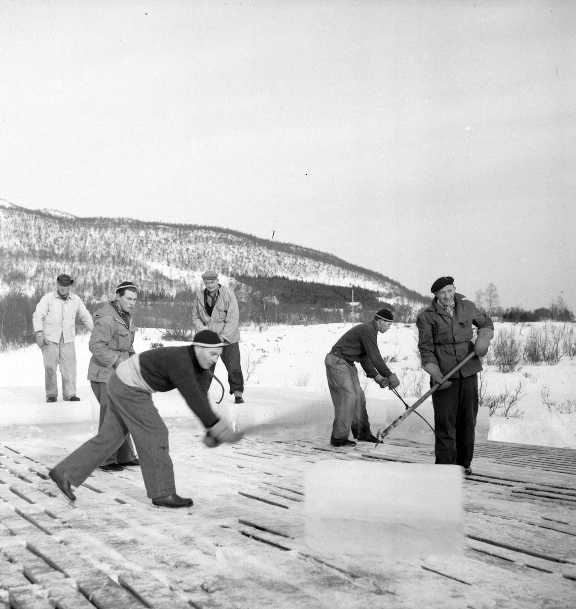 Isskjæring på Møkkelandsvannet, 1954.