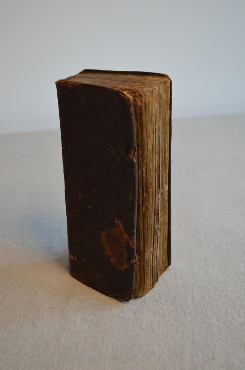 Høg smal salmebok med skinninnbunden treperm. Noko av skinntrekket har brote av og har skader. Dekor i skinnet rundt kanten på boka.Første sida av boka er riven ut. Gotisk skrift.