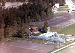 tettbebyggelse,  boligområde,  gartneri, Theslo gartneri,