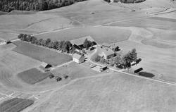 Flyfoto av gården Krosby i Eidsberg 1951. Oversiktsbilde.