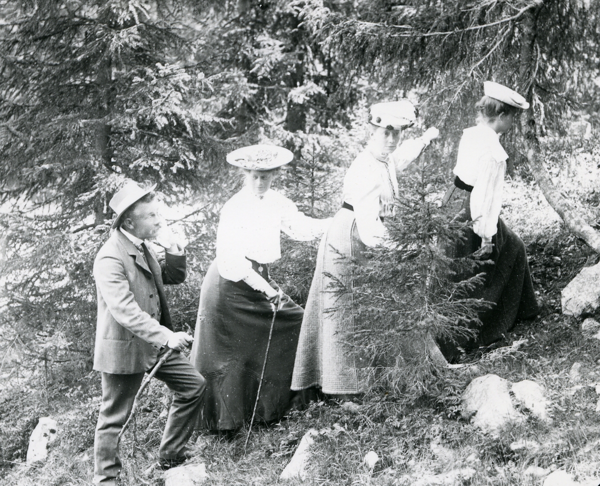 Tre kvinner og en mann i fritidsantrekk, i skog