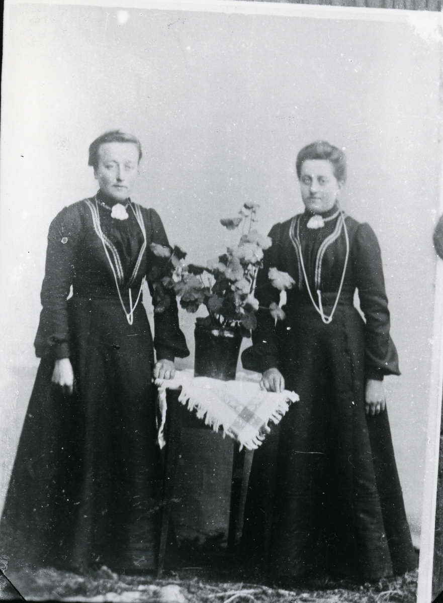 To kvinner i helfigur, med bord med potteplante mellom seg. Lerretbakgrunn