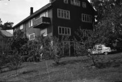 Handelsgården til Sina og Lars Momrak Haugann, Heistad, Tele