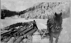 Skogsdrift. Tømmertransport med bil. Lessing.