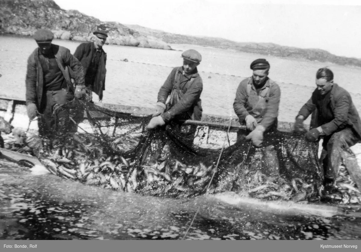 Sildefiske ved Vågøya. Bjarne Bondø, Lorentz Horseng, Georg Bondø, Herman Johansen og Atle Dahle.