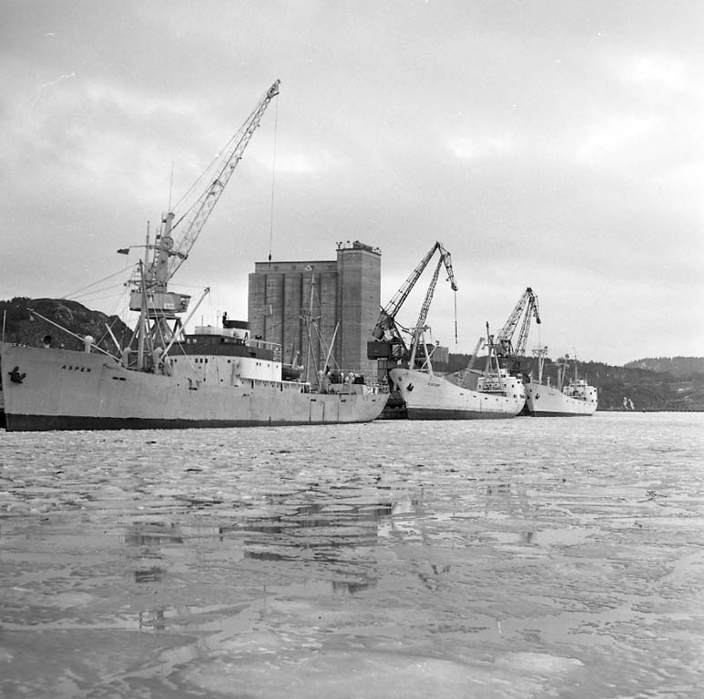 Enligt notering: "I hamnen ombord på m/s Aspen. Almarkare 31/1 1961".