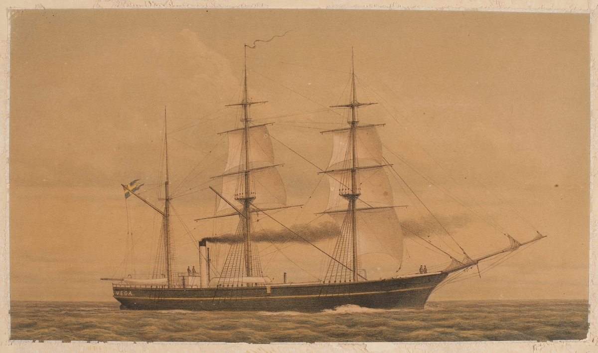 Ångbarkskeppet Vega till havs ca 1880.