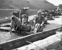 Vardens arkiv. "Kviteseid- katastrofen" 30.06.1953