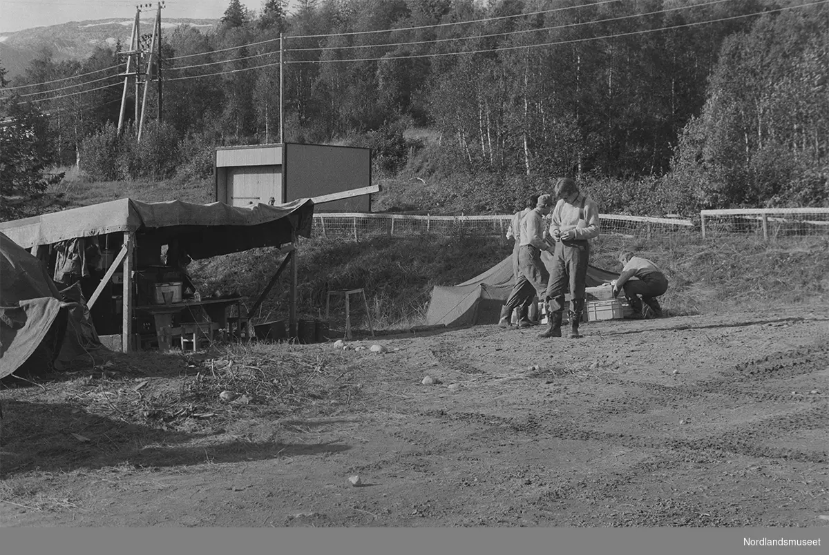 Rep.øving, Drevjamoen sept. 1981. Kp. C. Kokeplass.