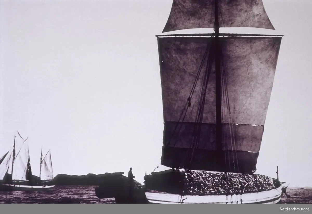 Nordlandsjekt med stor last. 
I bakgrunnen til venstre seiler en galeas.
Se: Svein Molaug. Vår gamle kystkultur. Bd. 1, 
1985, s. 139