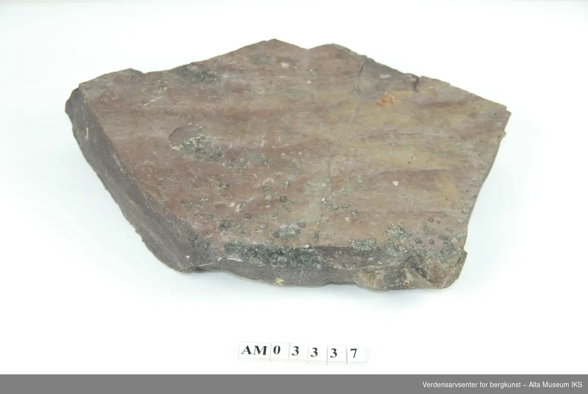 Sandstein m/bølgeslagsmerker.

Del av samling ved feltkurs i geologi 1999, Alta.
