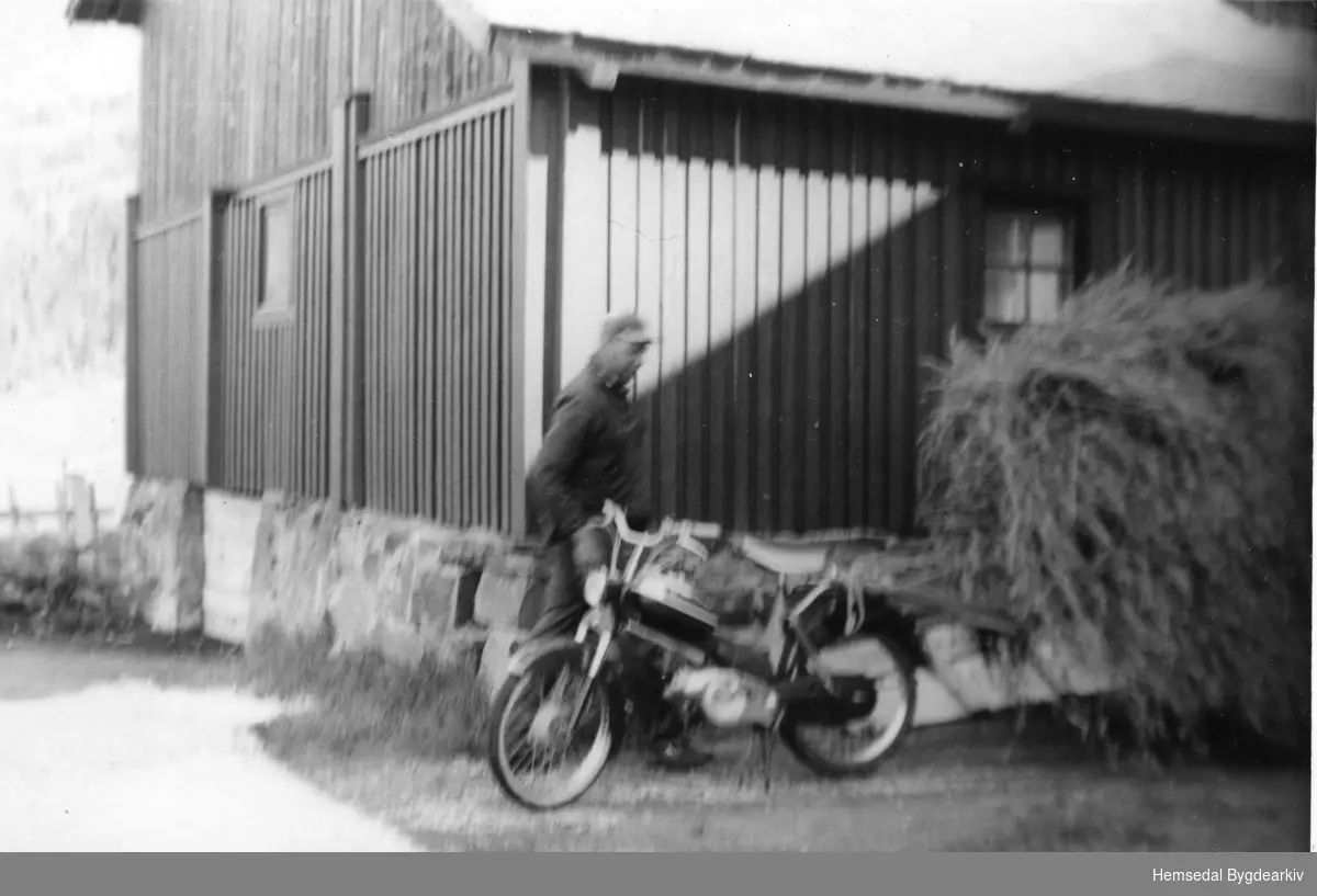 Torbjørn Haugo køyrer høy med moped på Nordre Fossheim i 1959.