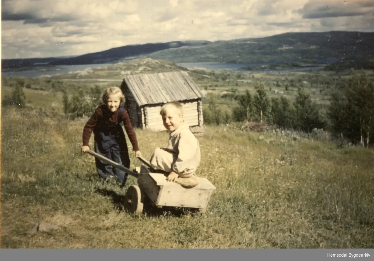 Knut H. Ulsaker, fødd 1948, tykkjer det er greit at Margit, fødd 1944, dreg kjerra. Her på Ulsåkstølane, "Storegjerda", 62.1,