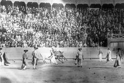 Tyrefægtning. Mexico