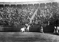 Tyrefægtning. Mexico