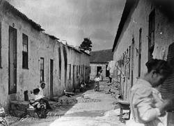 Pesten i Oporto o.l.