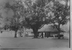 Madagascar (Hermbeck o.a.) m. Tu...